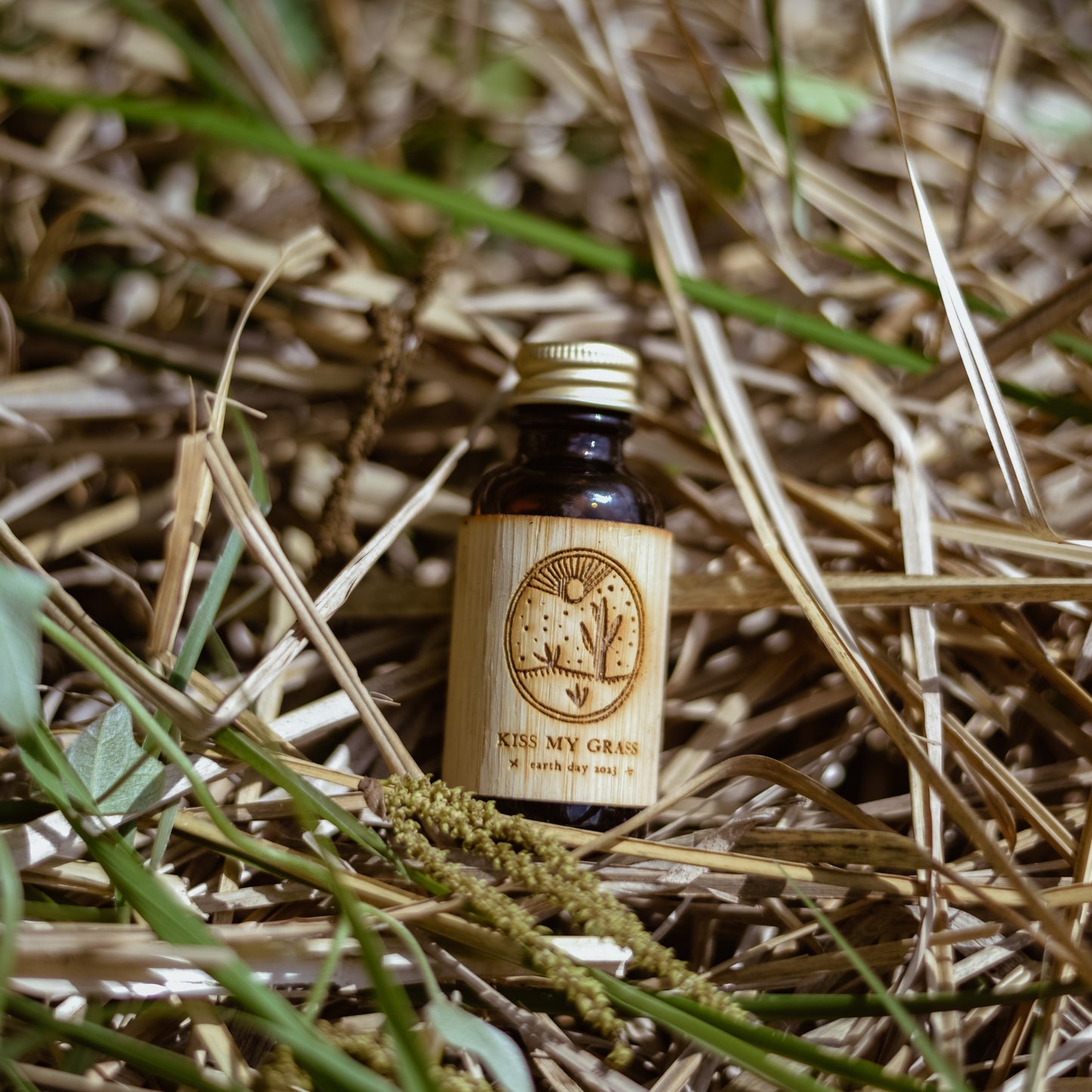 Vintage Kiss My Grass Beard Oil