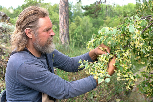 Why Do “All-Natural” Ingredients Matter in Beard Care Products?